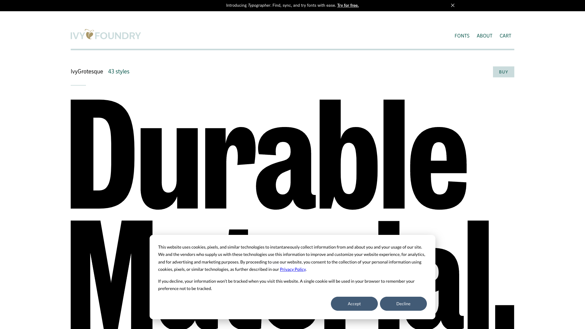 Ivy Foundry website screenshot
